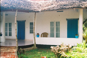 Medium300