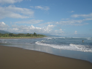 Medium300