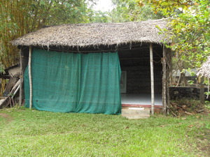 Medium300
