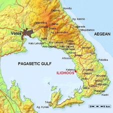 Medium300