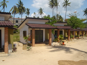 Medium300
