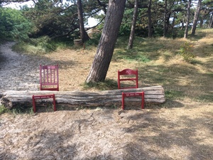 Medium300