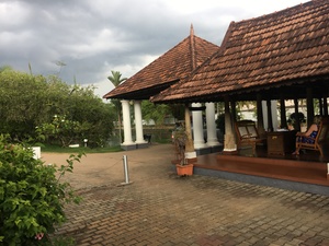 Medium300