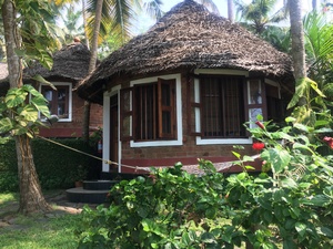 Medium300