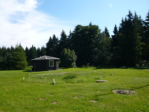 Medium300